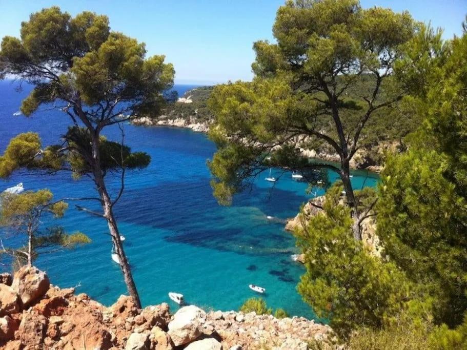 Brad'S House. Apartamento Saint-Cyr-sur-Mer Exterior foto